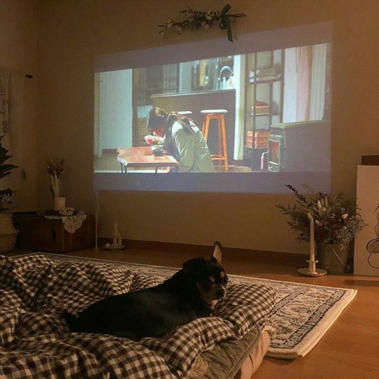 卧室投影仪哪款性价比高？性能超强的当贝投影D1推荐